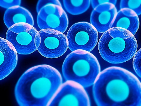 «ЦИСТОФИТ» - Очищение организма на клеточном уровне